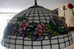 belted_dogwood-2